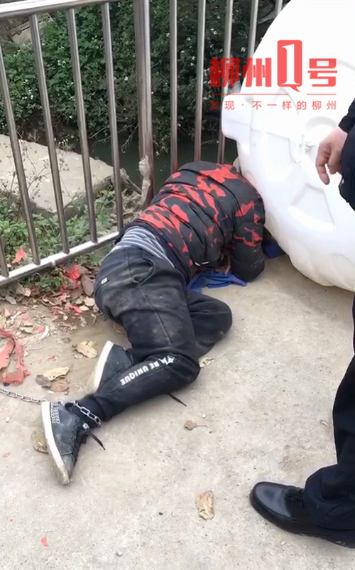 偷狗被打,偷狗被打视频