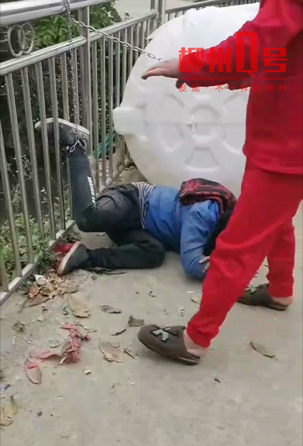 偷狗被打,偷狗被打视频