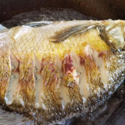红烧鱼的做法,红烧鱼的做法和步骤