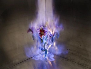 月下鹿影轻摇，哀愁悄然漫过静谧百合花旁。