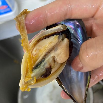 蓝口贝的内脏如何处理(大厨教你这么做蓝口贝,分分钟就可以学会)