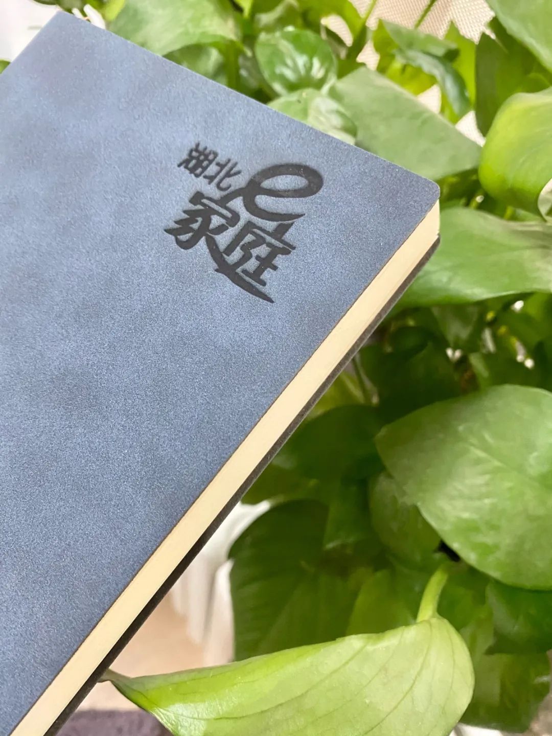 实在荒谬（huāng miù）！