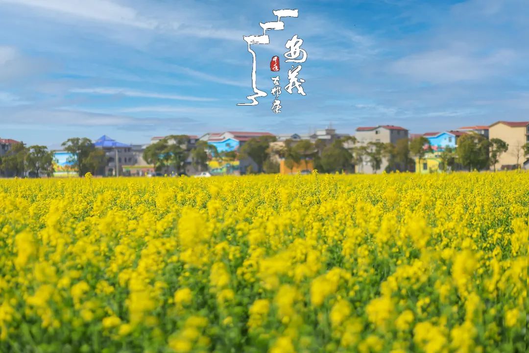 最新最全3·8女神节福利来袭！免门票、半价等超多惊喜送给您~