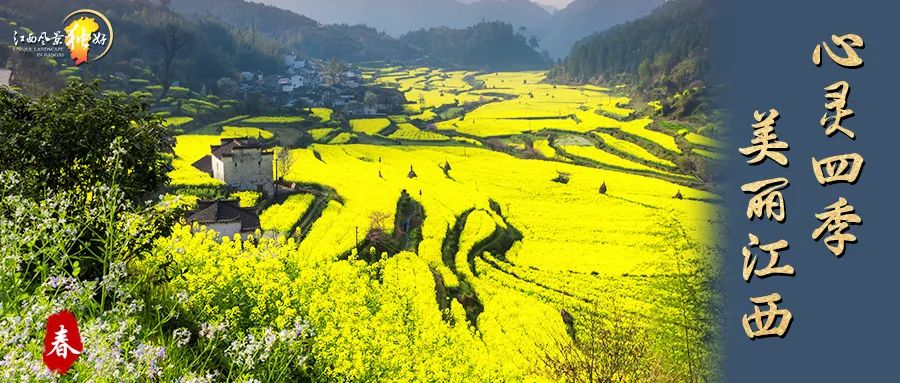 最新最全3·8女神节福利来袭！免门票、半价等超多惊喜送给您~