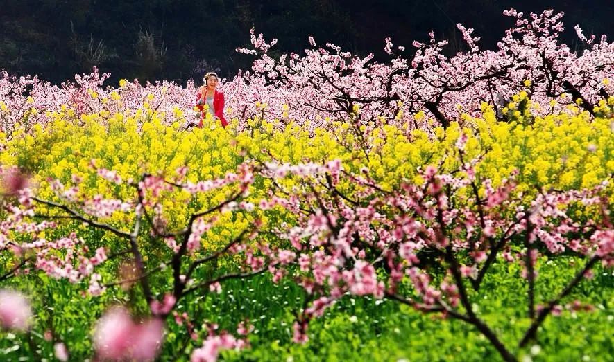 最新最全3·8女神节福利来袭！免门票、半价等超多惊喜送给您~