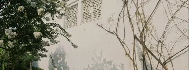 静念园林好，荷风送晚香