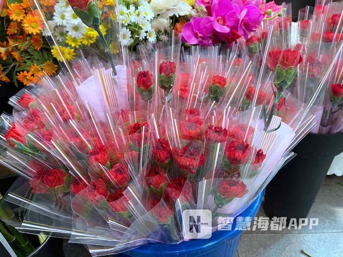 康乃馨多少錢(qián)一朵,紅色康乃馨多少錢(qián)一朵