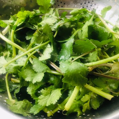 香菜怎么吃,香菜怎么吃好吃最簡單的做法