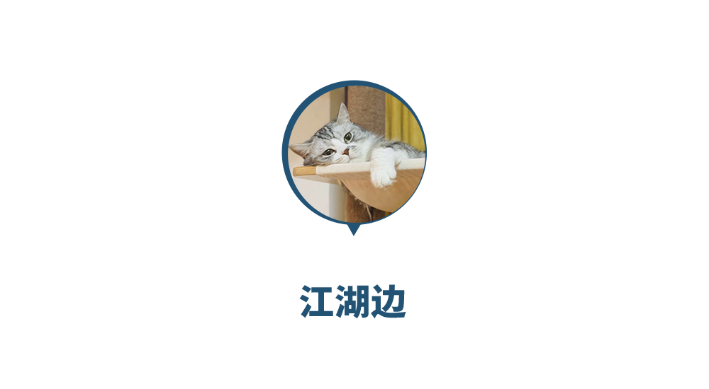 “如果你遇到性骚扰又摆脱不了，请对暗号”｜情绪周记Vol.41