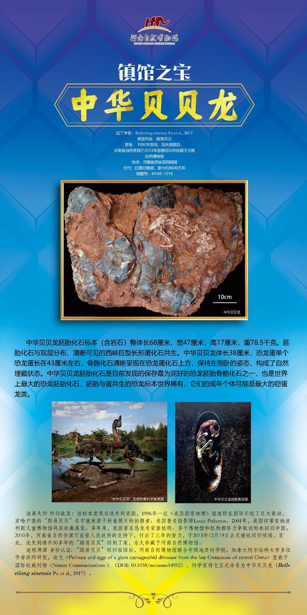 郑州地质博物馆4d电影好看吗
