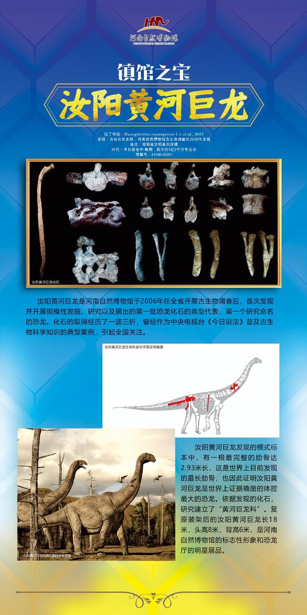 河南自然博物馆发布十大镇馆之宝