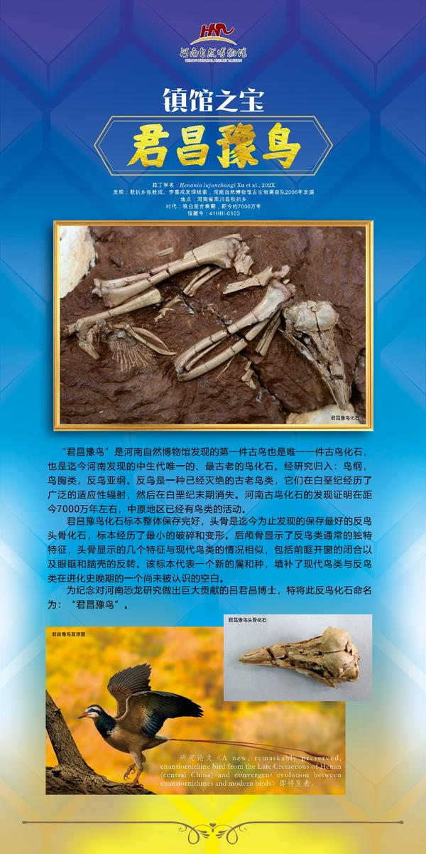 河南自然博物馆发布十大镇馆之宝