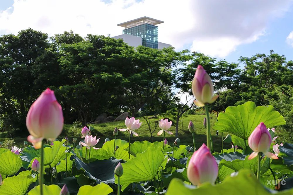 庆祝厦大百年校庆，探访厦门大学漳州校区