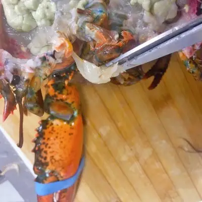 波士顿龙虾做法家常（蒜蓉波士顿龙虾的做法）