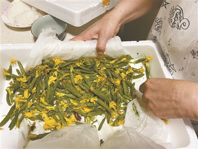 甘藍(lán)菜科,甘藍(lán)菜科的蔬菜有哪些