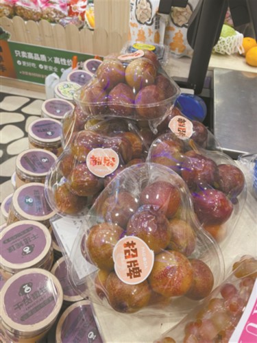 甘藍(lán)菜科,甘藍(lán)菜科的蔬菜有哪些