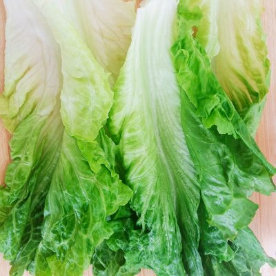 蔬菜沙拉的做法和材料（做健康营养不油不腻的蔬菜沙拉）