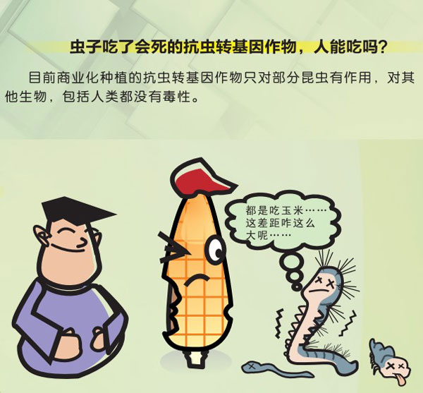 可可碱(三条传言背后的真相你知道吗？)