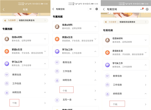 个人所得税缴纳查询,个人所得税缴纳查询系统