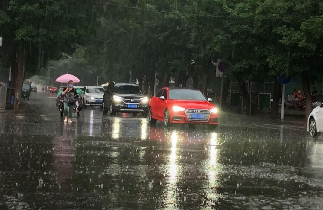 端午假期雨雨雨安排！高温也将凑热闹！| 未经批准，这类学校不得在石家庄市招生→