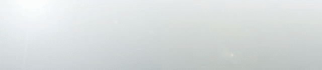 趴窝孵蛋啦!兆麟公园 6月8日前后就能看到鸳鸯宝宝跳巢