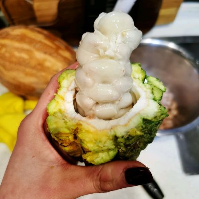 自制巧克力（手把手教你自制巧克力的全过程）
