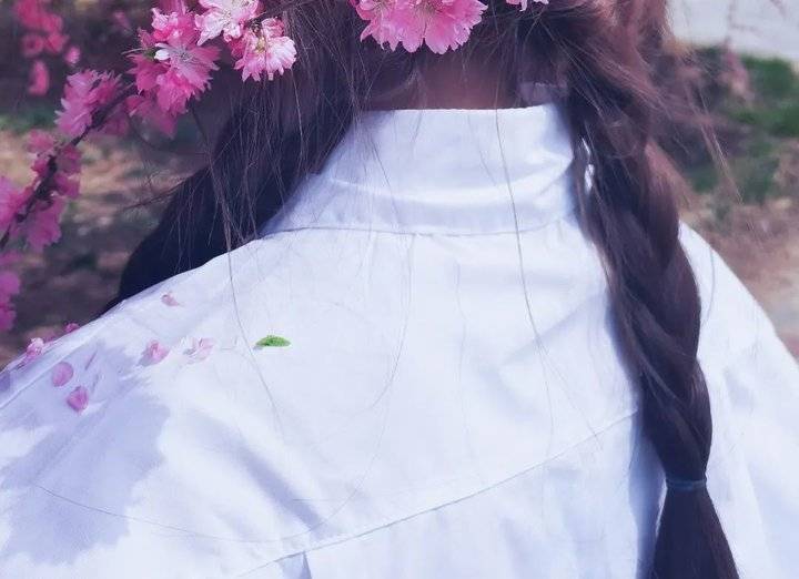 春日校园｜山东现代学院的浪漫春日