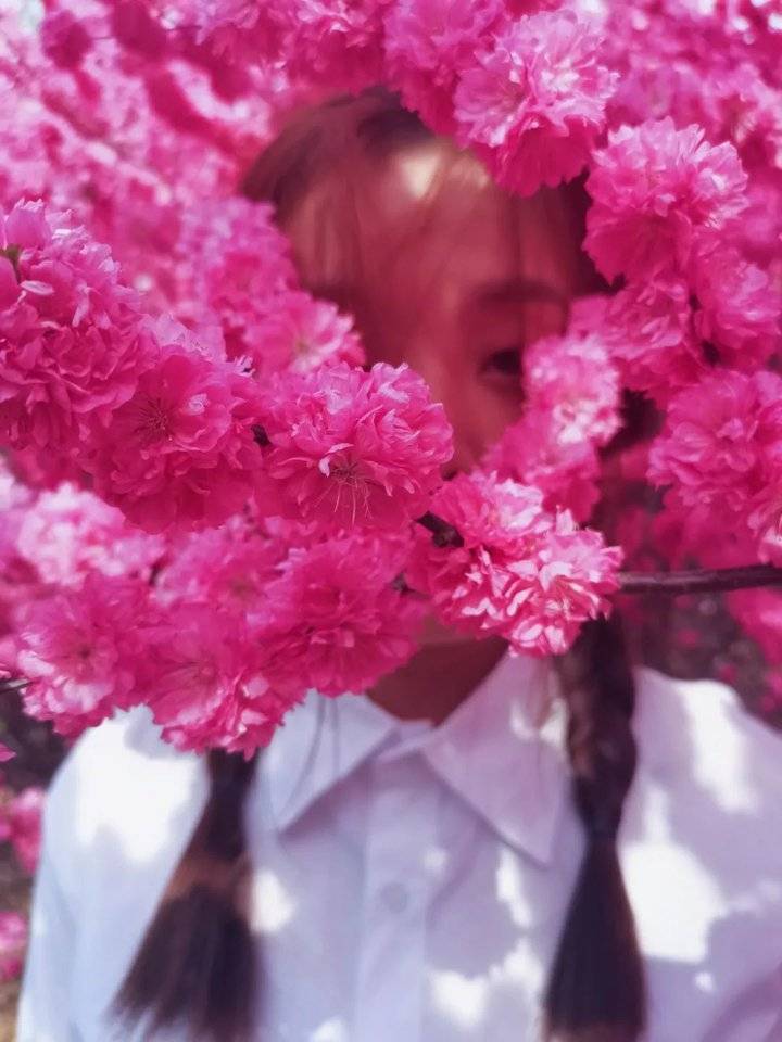 春日校园｜山东现代学院的浪漫春日