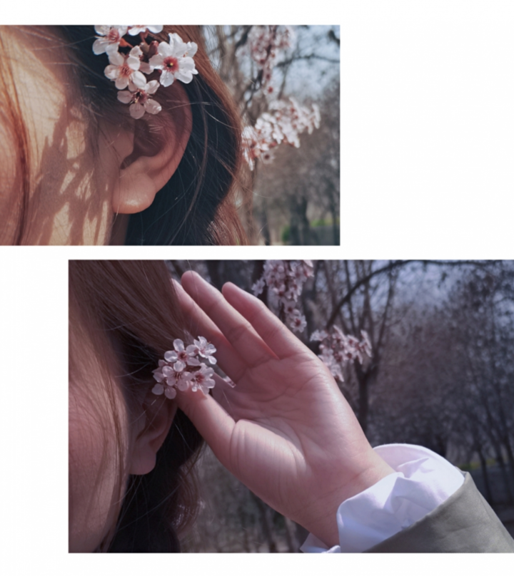 春日校园｜山东现代学院的浪漫春日