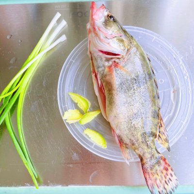 清蒸桂魚怎么做,清蒸桂魚怎么做最好吃