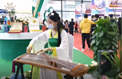 茉莉花時間,茉莉花時間開放