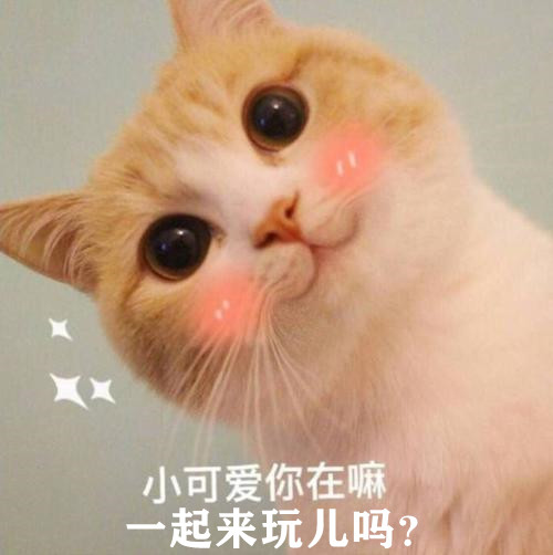 茉莉花時間,茉莉花時間開放