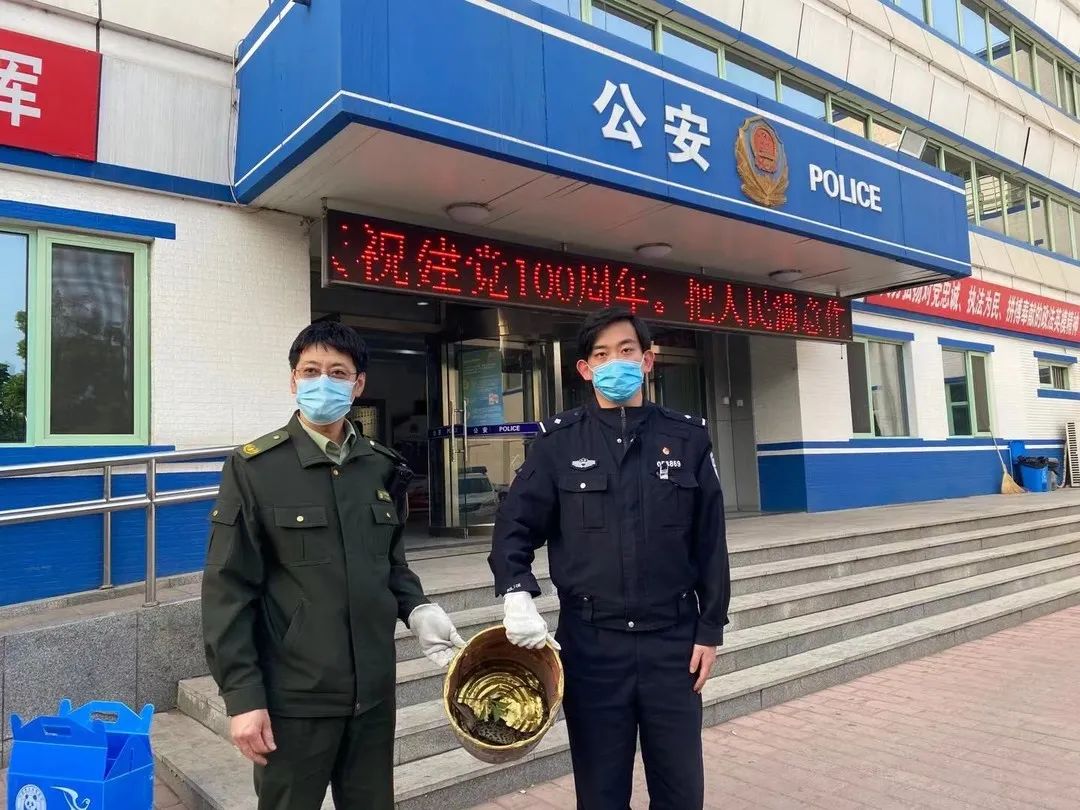 鱷魚屬于哪類動物,鱷魚屬于哪類動物 獵人發現了正拿著槍