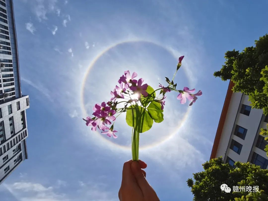 热闹！朋友圈开启日晕比赛！五一假期天气……