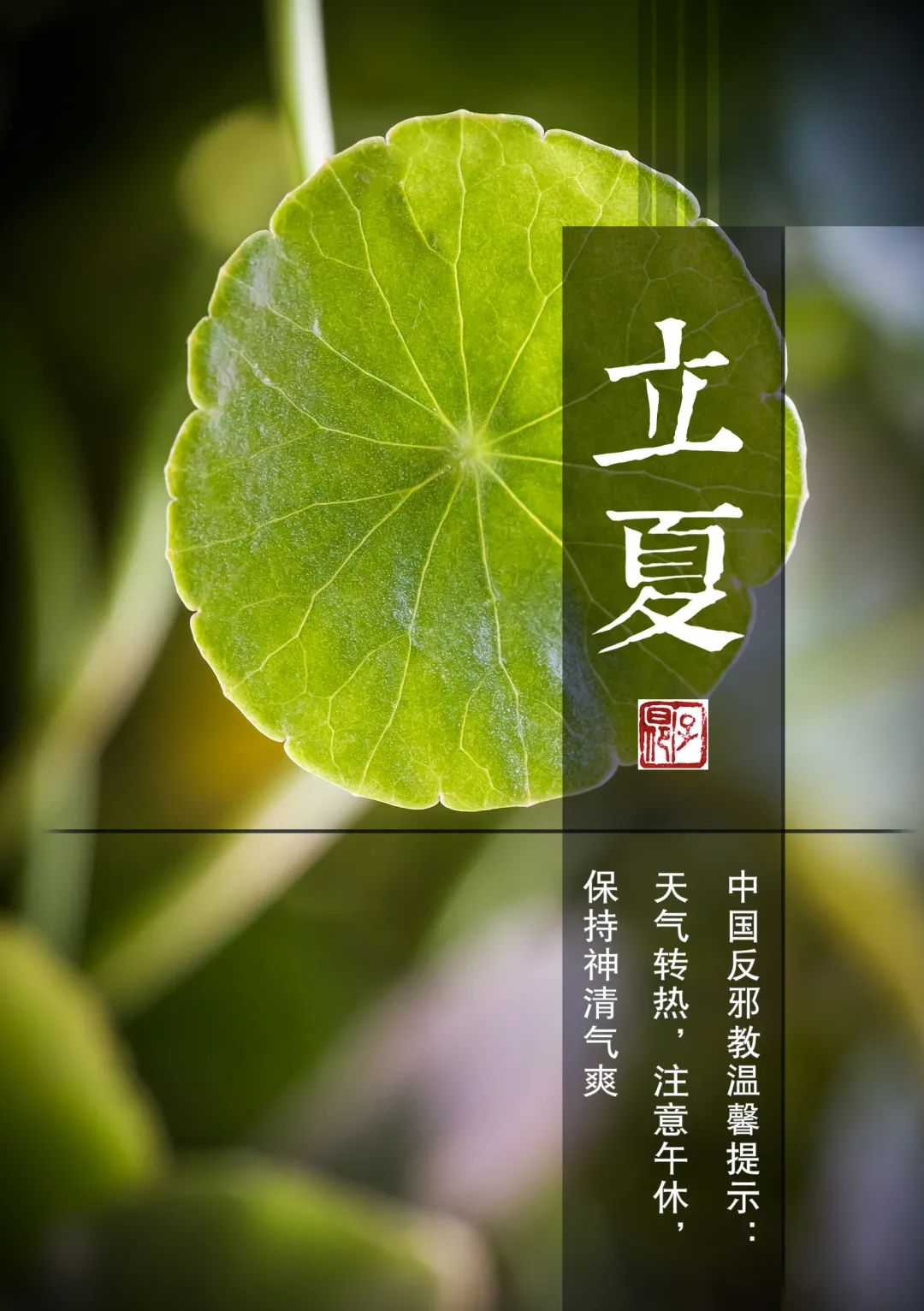 2021年5月5日立夏节气春意了无痕立夏缓缓来从今天开始炎热的夏天就要