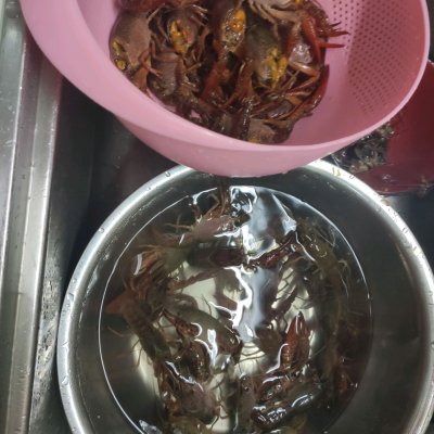 蒜泥龍蝦的做法,蒜泥龍蝦的做法大全