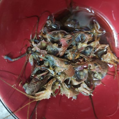 蒜泥龍蝦的做法,蒜泥龍蝦的做法大全