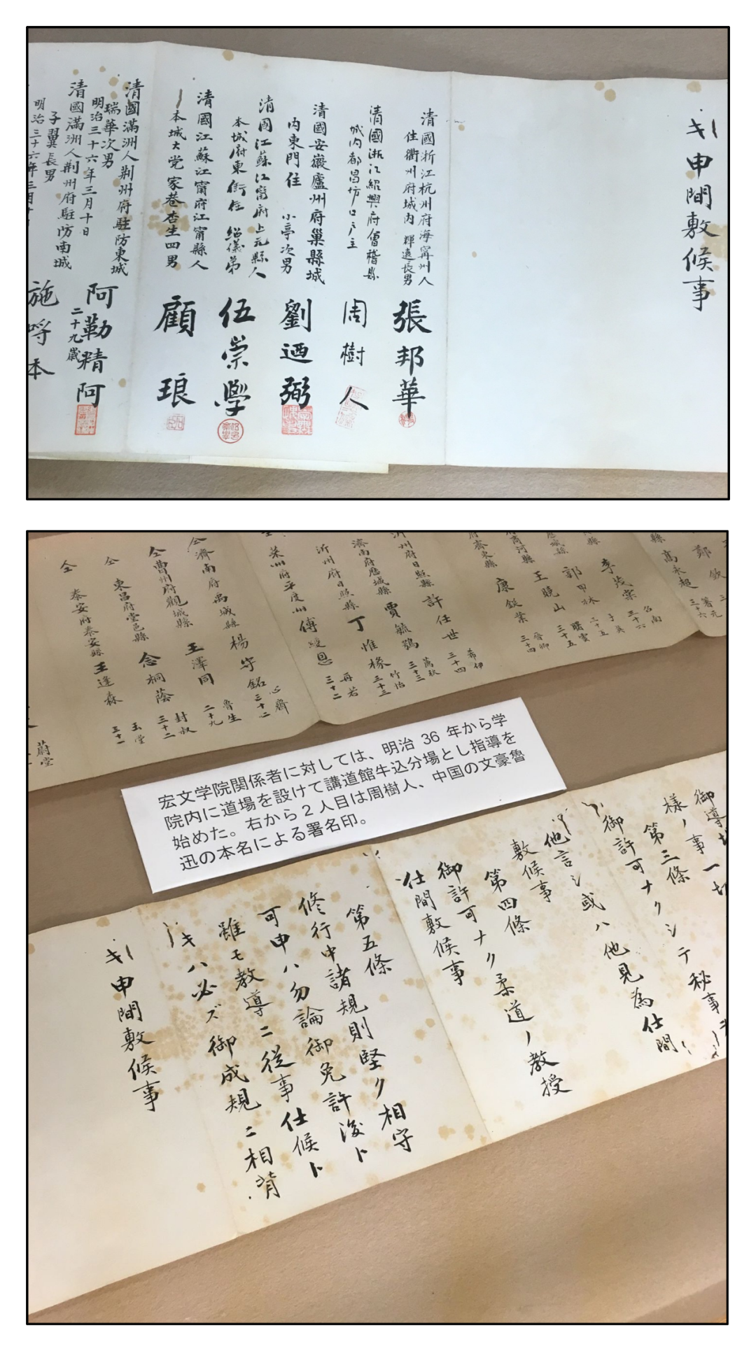 练过柔道的鲁迅到底打了多少人