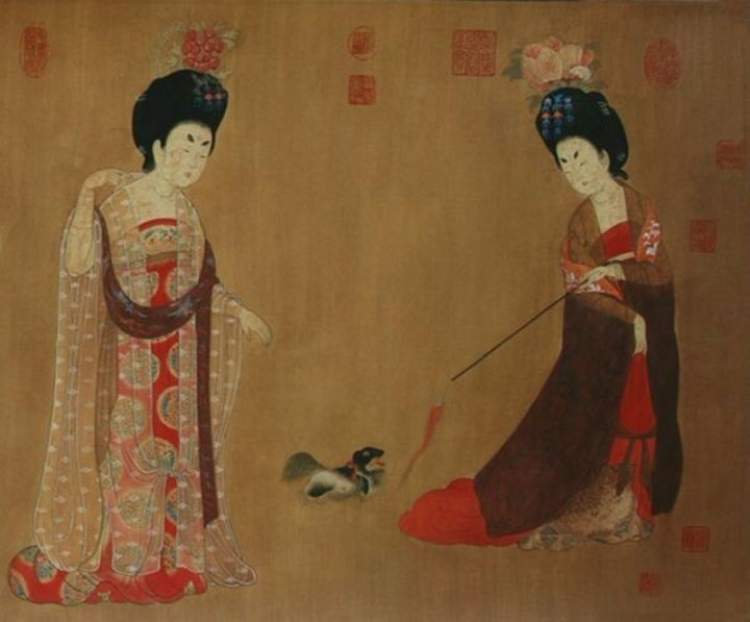 石榴花什么時候開,石榴花什么時候開花