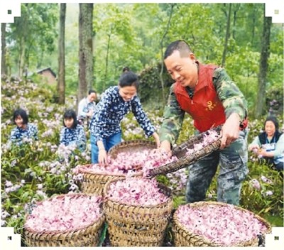 三农指什么,三农指什么三农