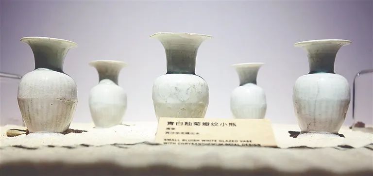 水下“探宝”！带你揭开沉没的文明