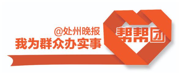 丽水交通违章查询,丽水交通违章查询系统