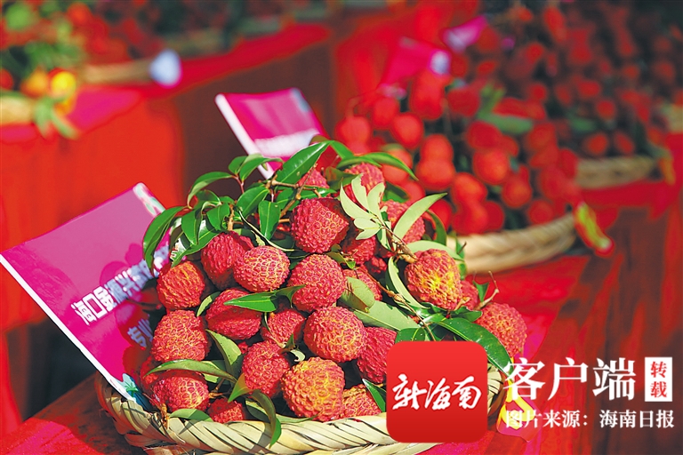 海南周刊