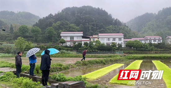 慈利縣農(nóng)機事務(wù)中心：護(hù)航春耕備耕 助推黨史學(xué)習(xí)教育走實走深