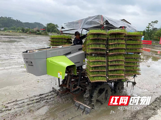 慈利縣農(nóng)機事務(wù)中心：護(hù)航春耕備耕 助推黨史學(xué)習(xí)教育走實走深