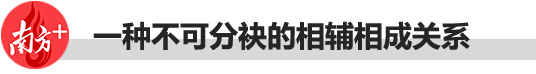 2021cba队员在哪里住(夺冠力量·东莞骄傲⑤|爱与诚，“十一冠王”背后的城市力量)