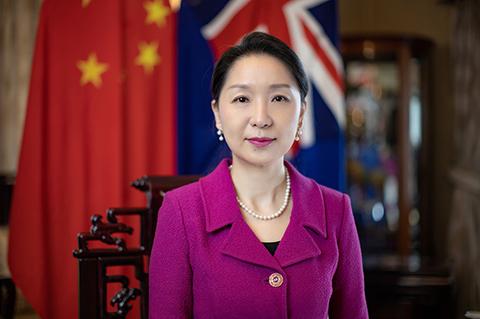 中国驻新西兰大使吴玺向新中友协全国年会进行视频致贺
