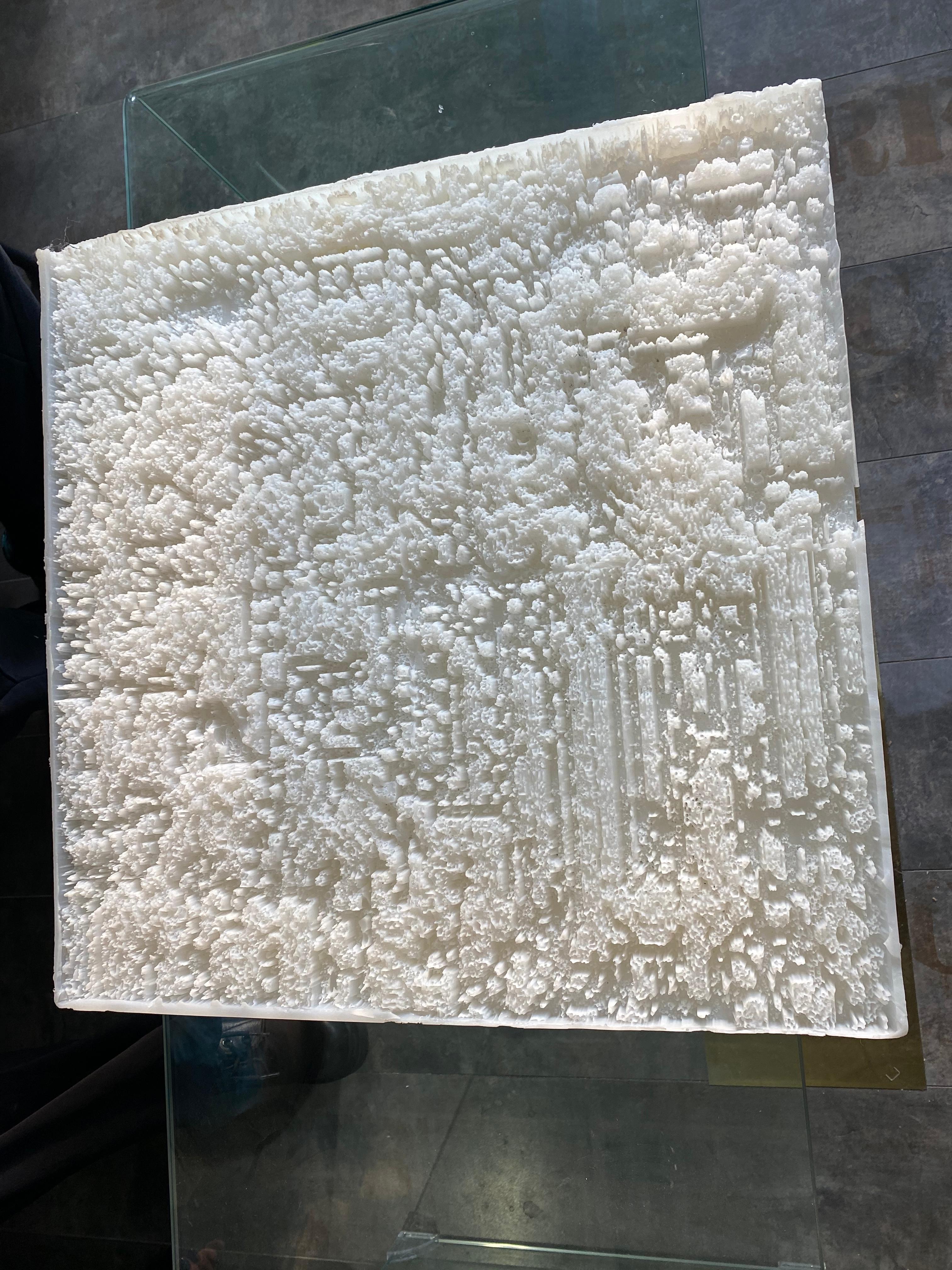 货殖列传｜弄潮NFT：3个加密艺术家炼成记