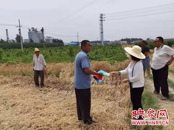 新乡市农业机械技术中心：田间地头现场指导 确保夏粮颗粒归仓