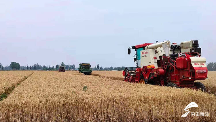 德州810萬畝小麥開鐮收割 機收率預(yù)計達99.8%